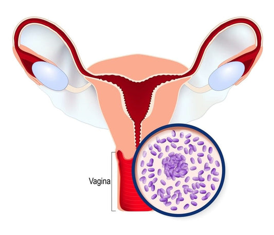 bacterial vaginosis vs yeast infection