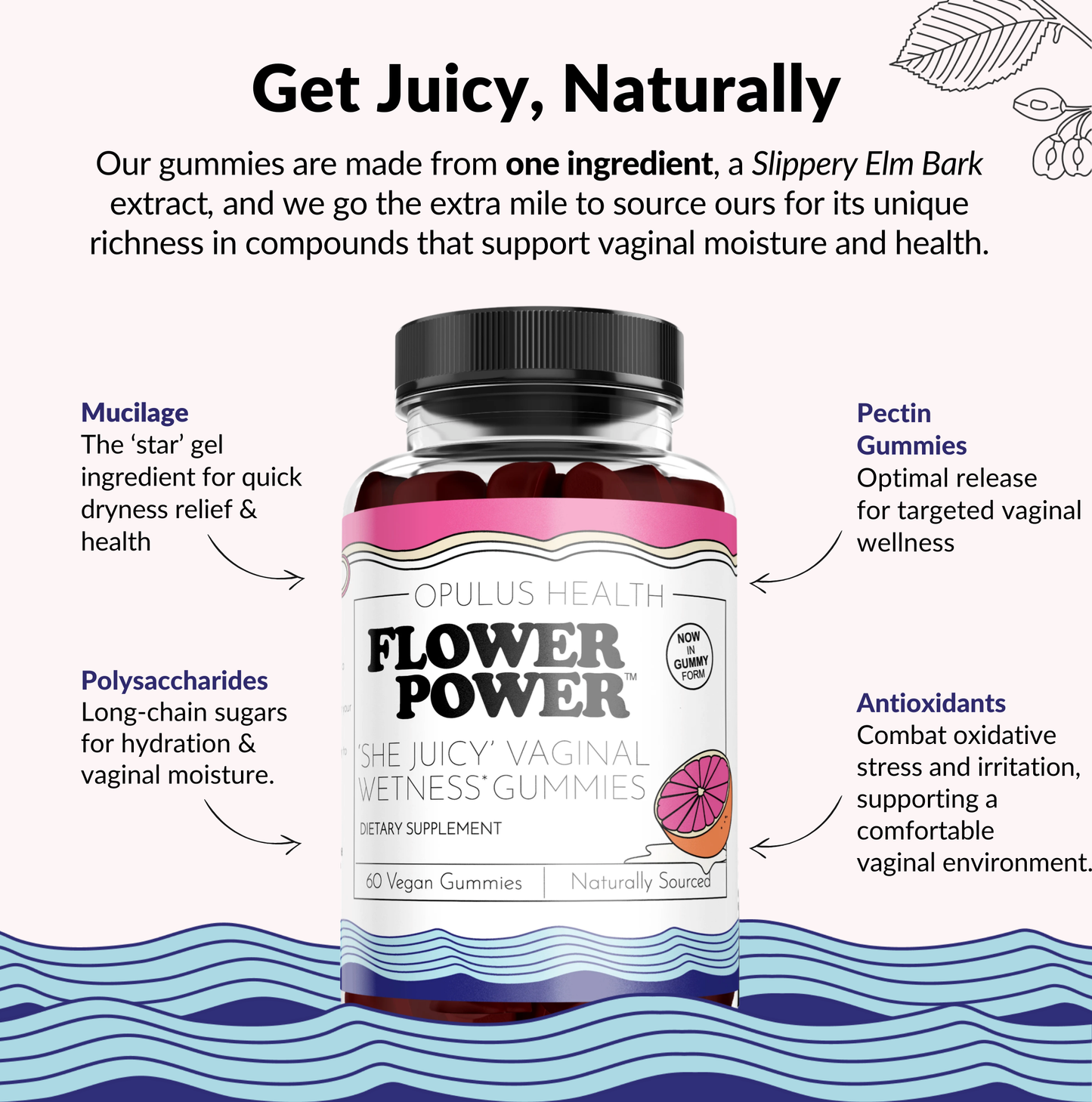 Flower Power® 'She Juicy' Vaginal Moisture Gummies (60ct/each)