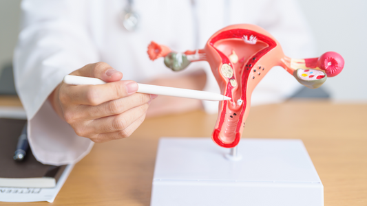 Signs Your Vaginal Dryness Needs Medical Attention
